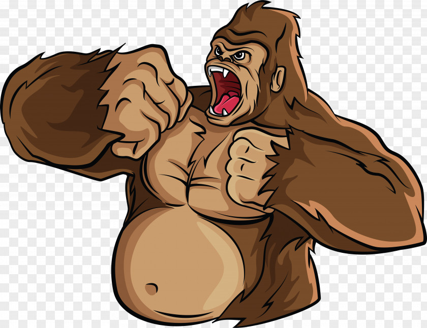 Gorilla Photography PNG