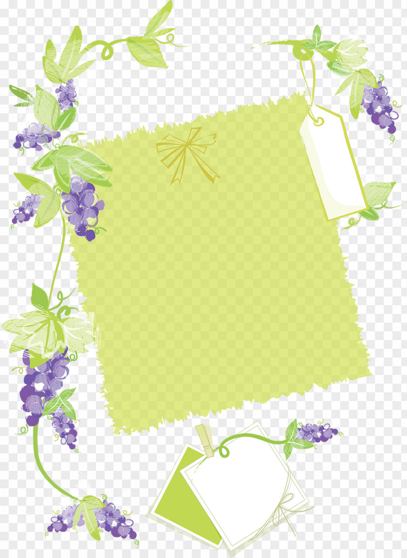 Grapes Common Grape Vine Raisin Purple Clip Art PNG