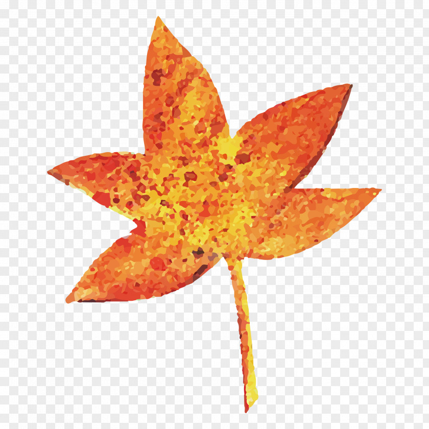 Halloween Maple Leaf PNG