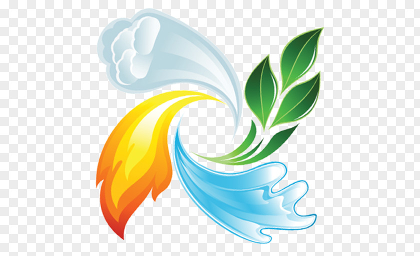 .ico Graphic Design Flower Leaf PNG