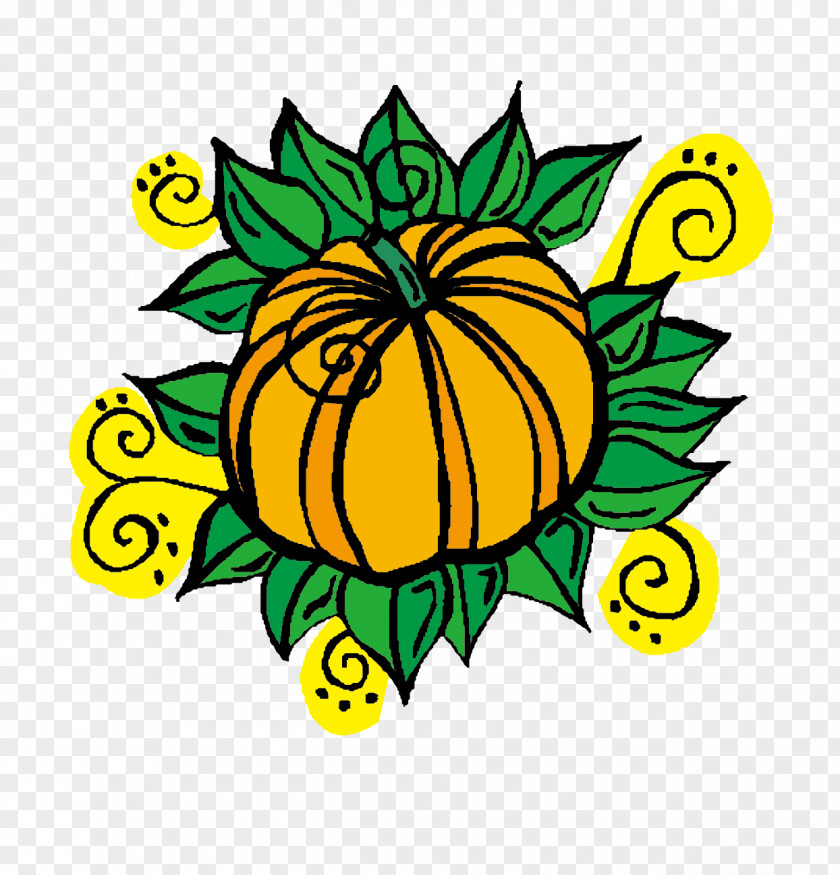 Pumpkin Visual Arts Clip Art PNG