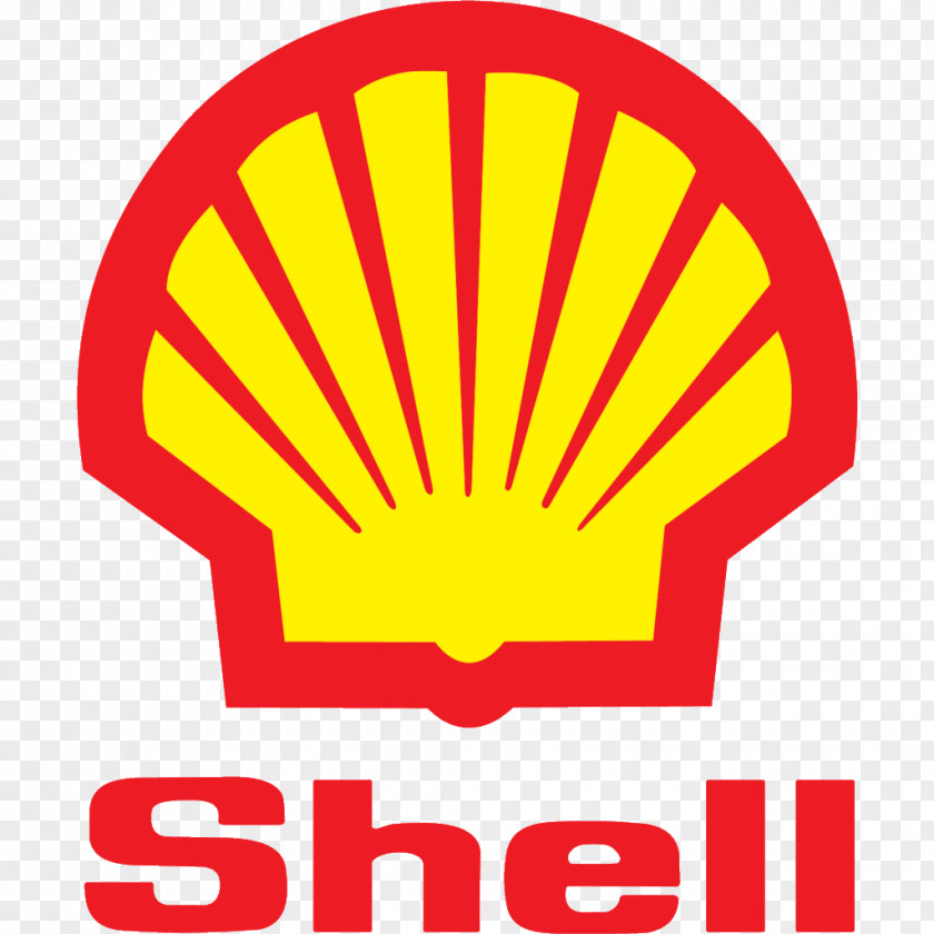 Shell PNG