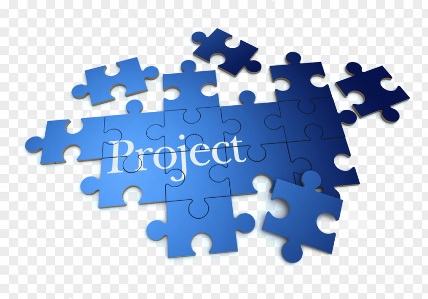 Translation Project Management Six Sigma Manager PNG