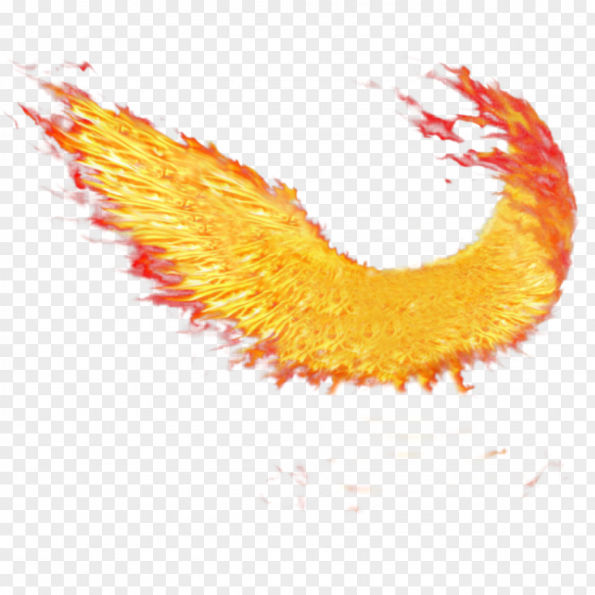 Yellow Orange Wings Of Fire PNG