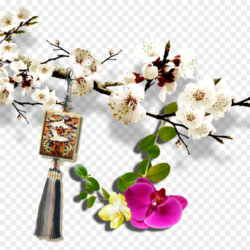 Apricot Phalaenopsis Chinese Knot Ochna Integerrima Flower Floral Design Plum Blossom PNG