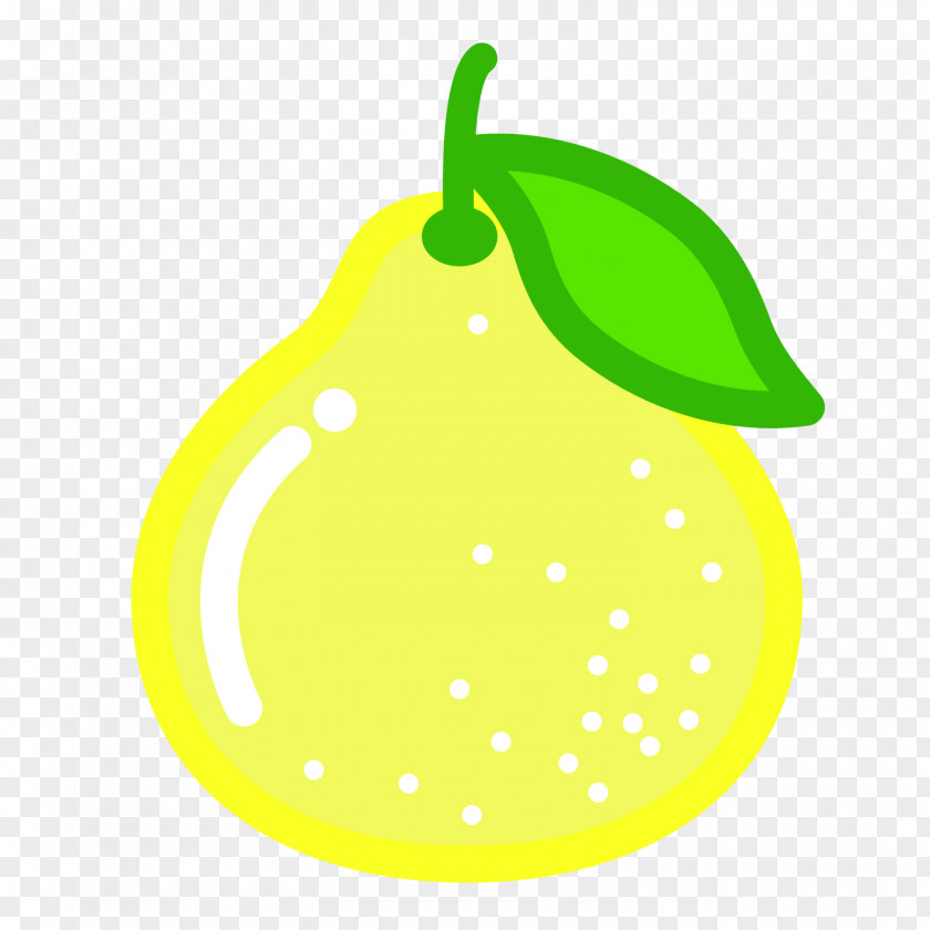 Chinese White Pear Clip Art Illustration Fruit Vector Graphics PNG