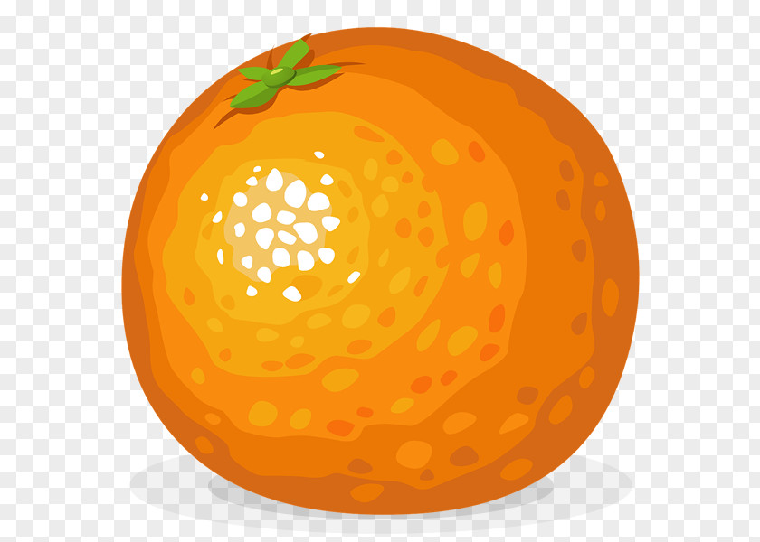 Orange Image Clip Art Vector Graphics PNG