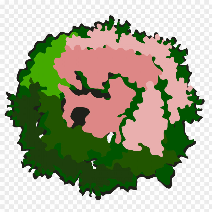 Tree Top View Drawing Clip Art PNG