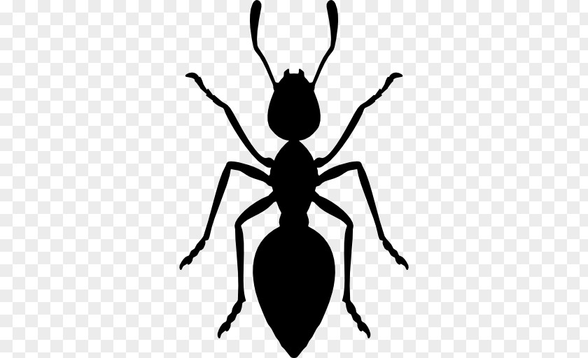 Ants Vector Ant Royalty-free Clip Art PNG