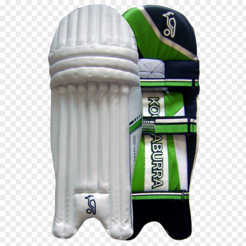 Cricket Bats Protective Gear In Sports PNG