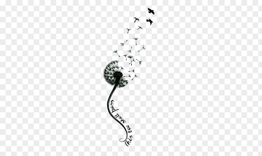 Dandelion Tattoo Black-and-gray Pissenlit Forearm PNG