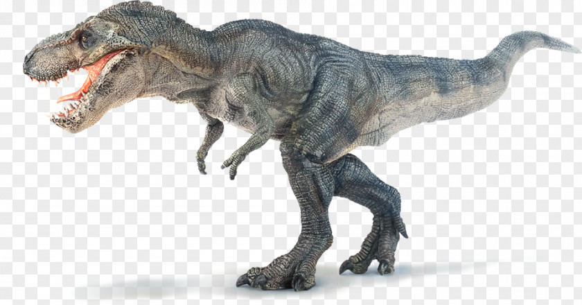 Dinosaur Tyrannosaurus PNG