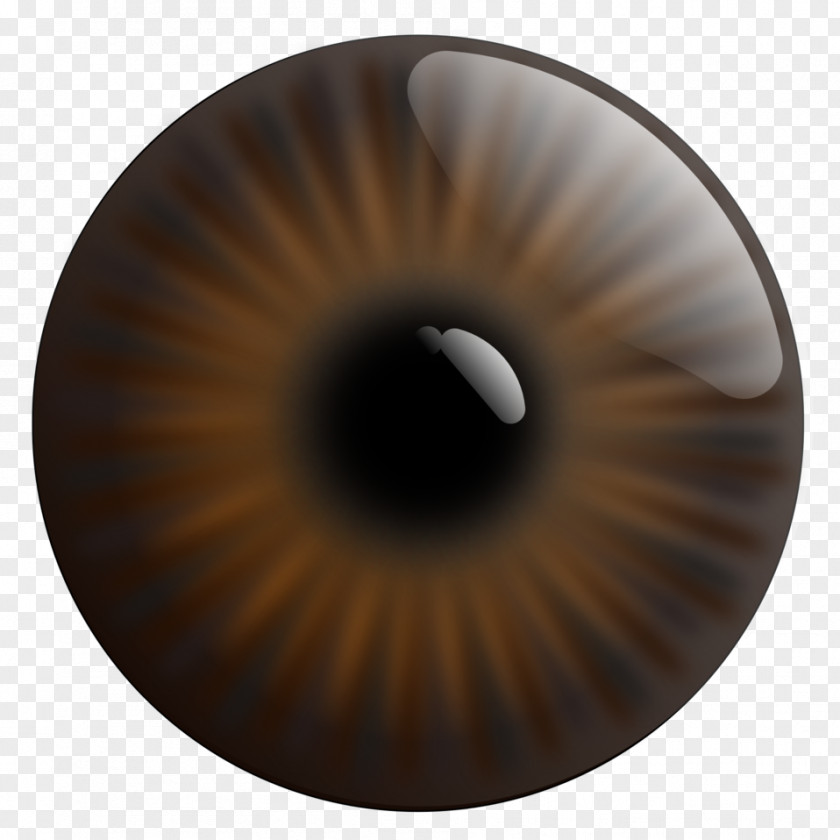 Eye Clip Art Human Pupil Iris PNG