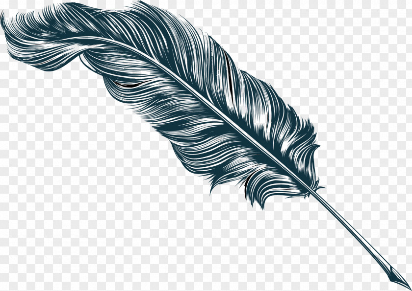 Feather Quill Fountain Pen Inkwell Clip Art PNG