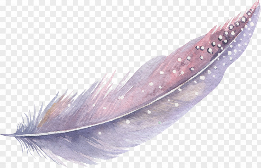 Feather Watercolor Painting PNG