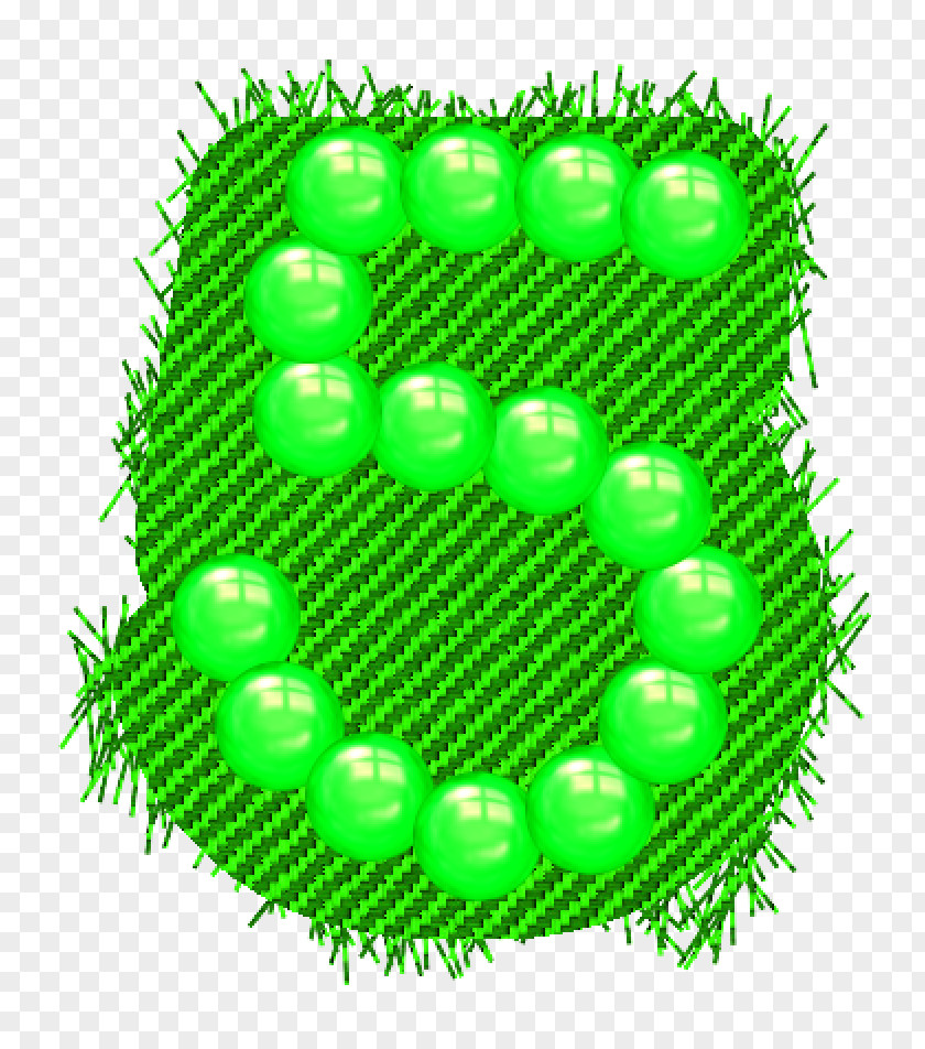 Number1 Green PNG