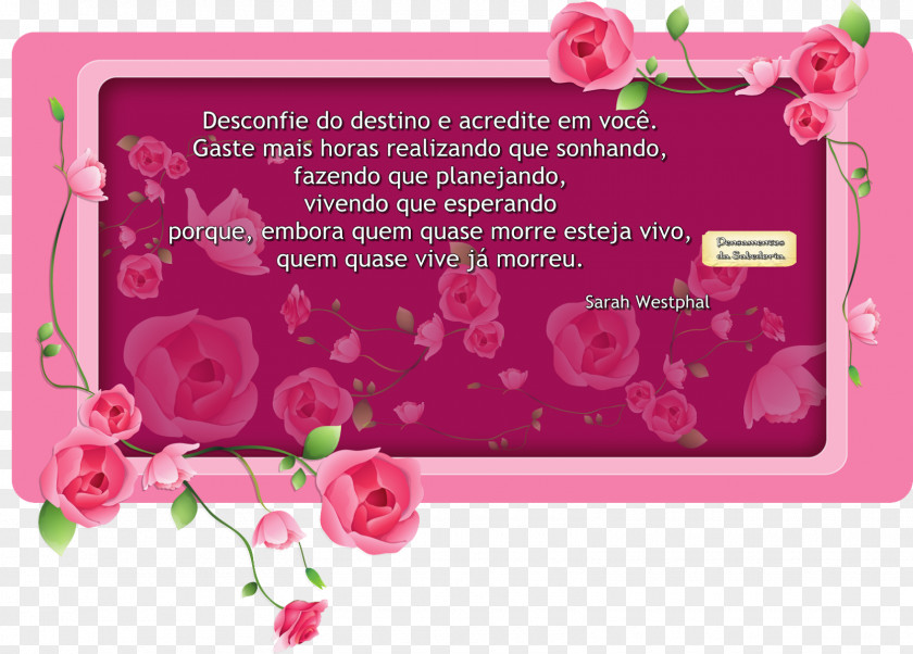 Personalidade Greeting & Note Cards Picture Frames Floral Design Product PNG