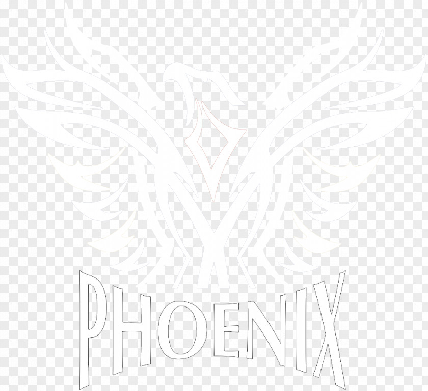 Phoenix Line Desktop Wallpaper White Angle PNG