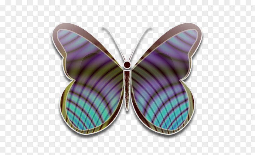 Butterfly PNG