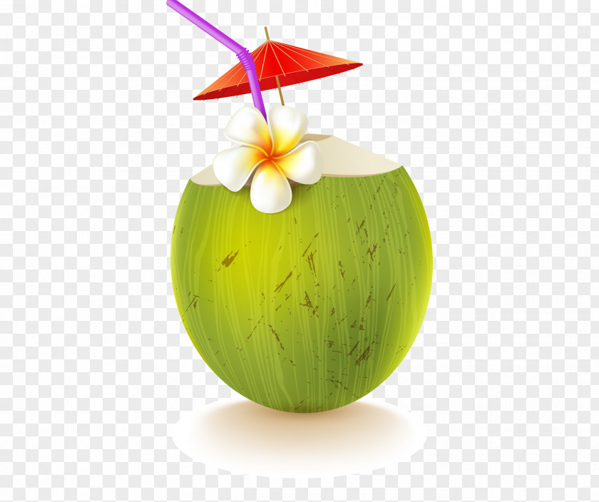 Coconut Drink Vector Water PNG