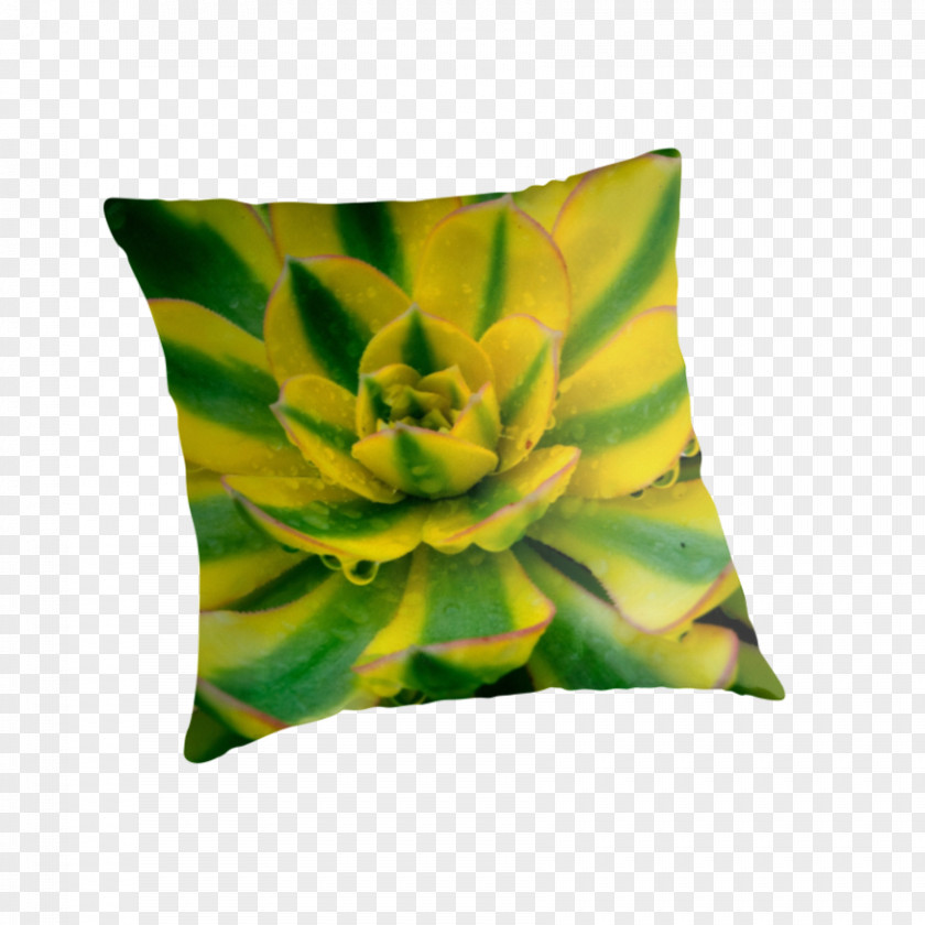 Echeveria Throw Pillows Cushion Tote Bag Green PNG