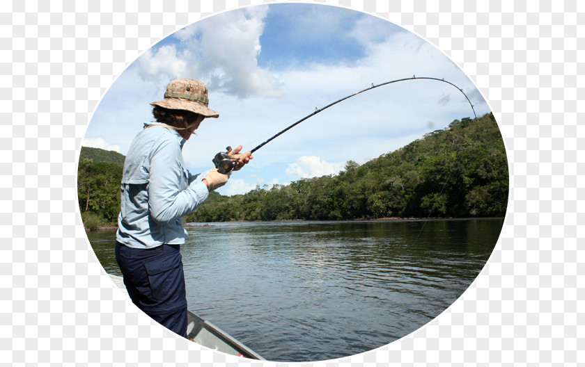 Fishing Fly Rods Angling Casting Fisherman PNG