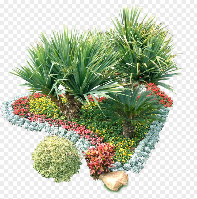 Plant Garden Shrub PNG