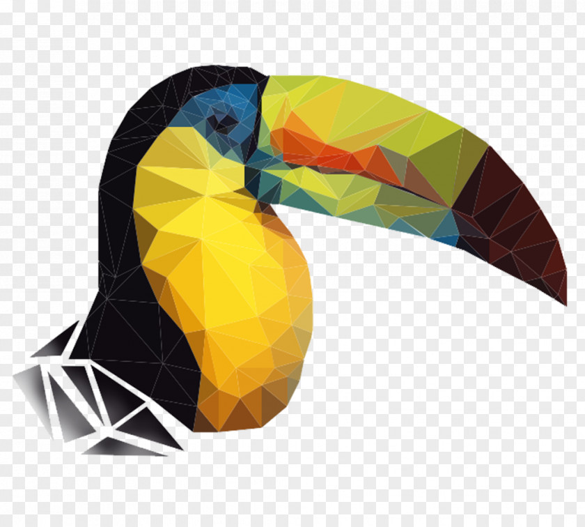 Polygonal Polygon Toucan Animal PNG