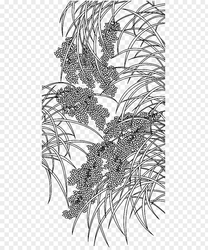 Hand-painted Rice Visual Arts Black And White PNG