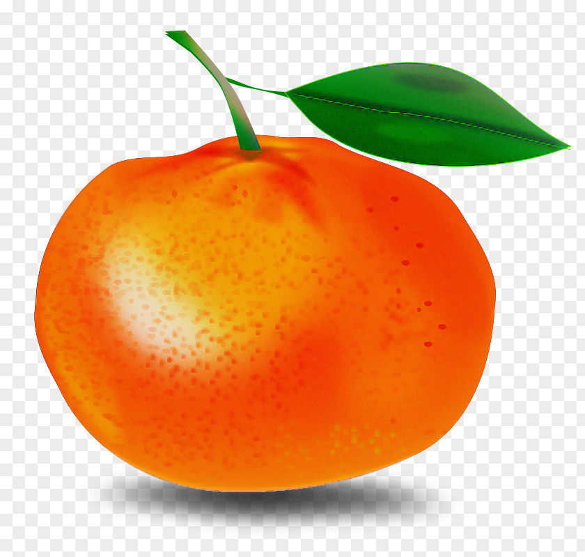 Orange PNG