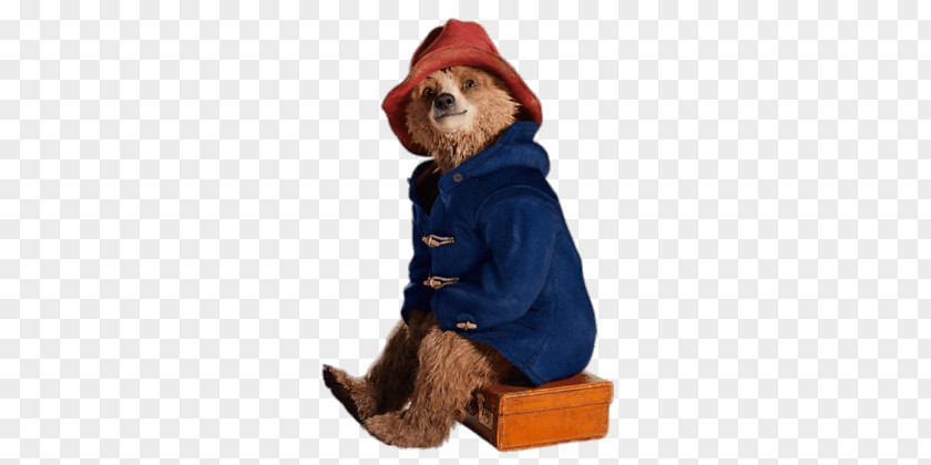 Paddington Bear Sitting On Suitcase PNG on Suitcase, brown bear sitting chest clipart PNG
