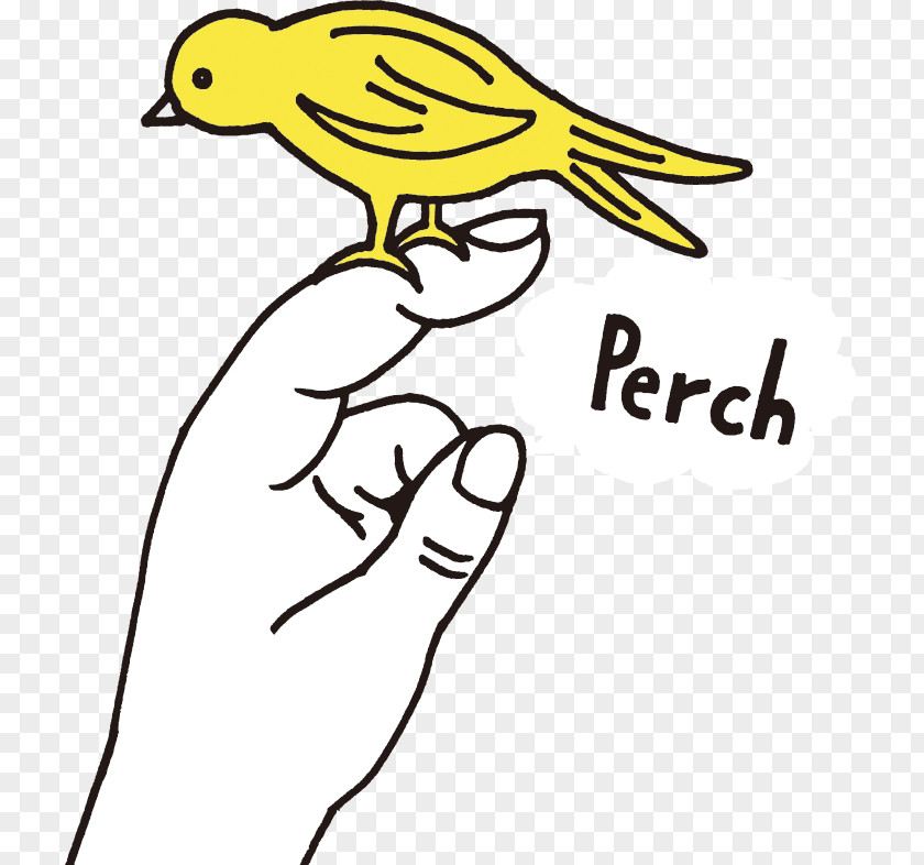 Perch Beak Line Art Cartoon Clip PNG