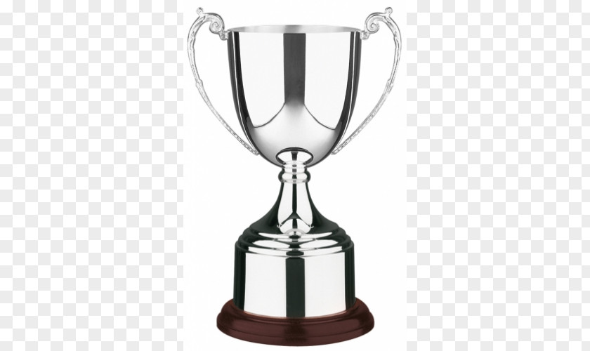 Silver Trophy Award Cup Craft PNG