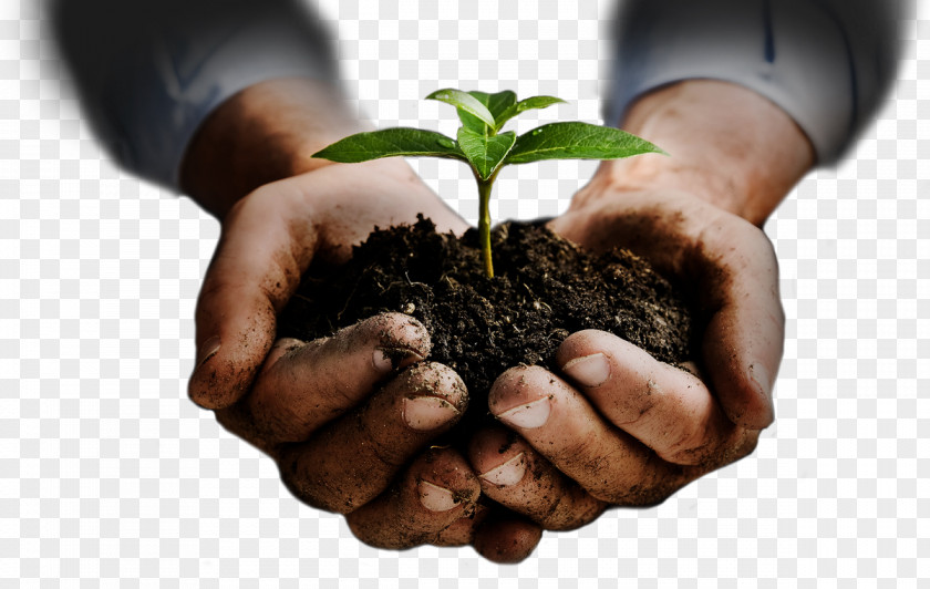 SOIL Quotation It's Enough To Indulge And Be Selfish But True Happiness Is Really When You Start Giving Back. Only A Life Lived For Others Worthwhile. Entrepreneurship Business PNG