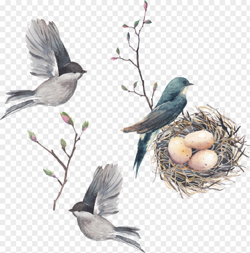Vector Nest Eggs Everyday Grace: 60 Devotions Jesus Calling: For Every Day Of The Year Bible Daily Devotional Blessing PNG