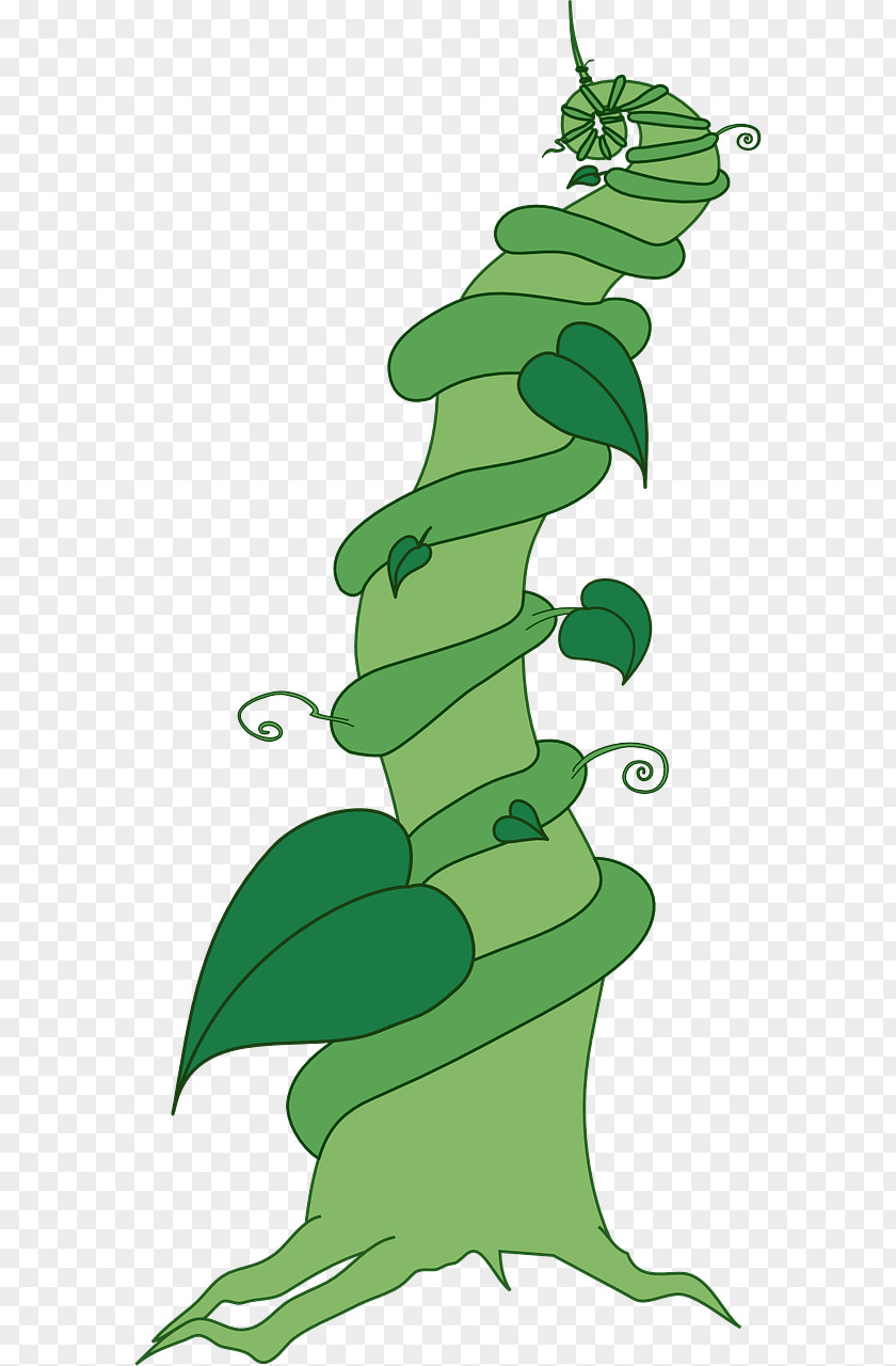 Beanstalk Clip Art Jack And The Openclipart Image Vector Graphics PNG