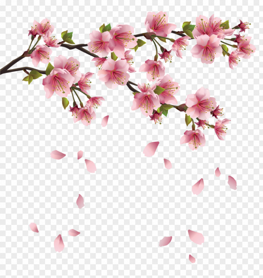 Beautiful Pink Spring Branch With Falling Petals Clipart Petal Clip Art PNG