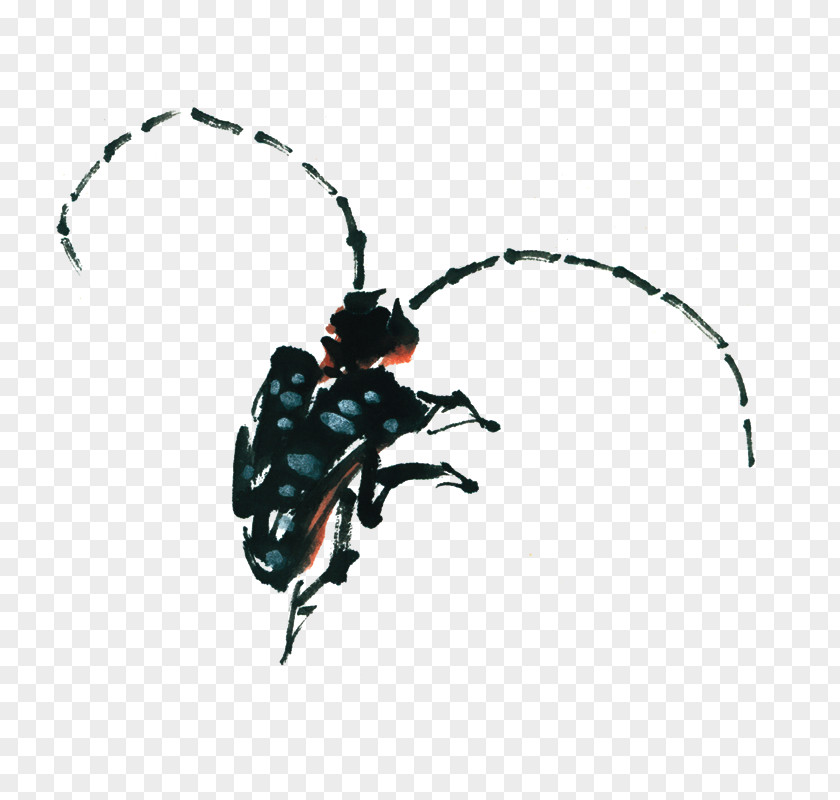 Decorative Pattern,insect Beetle Antenna Ink PNG