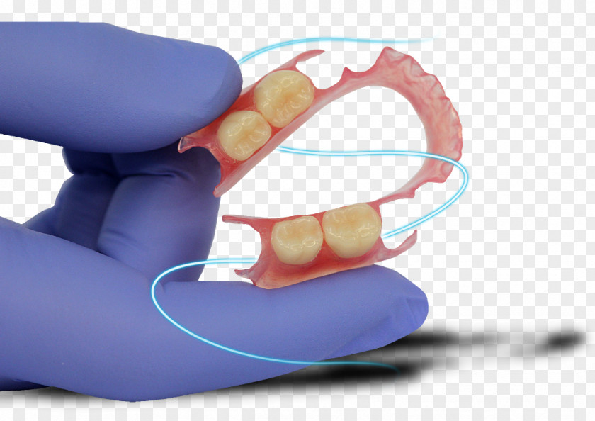Dentist Gum Shield Dentures Prosthesis Dentistry Dental Laboratory PNG