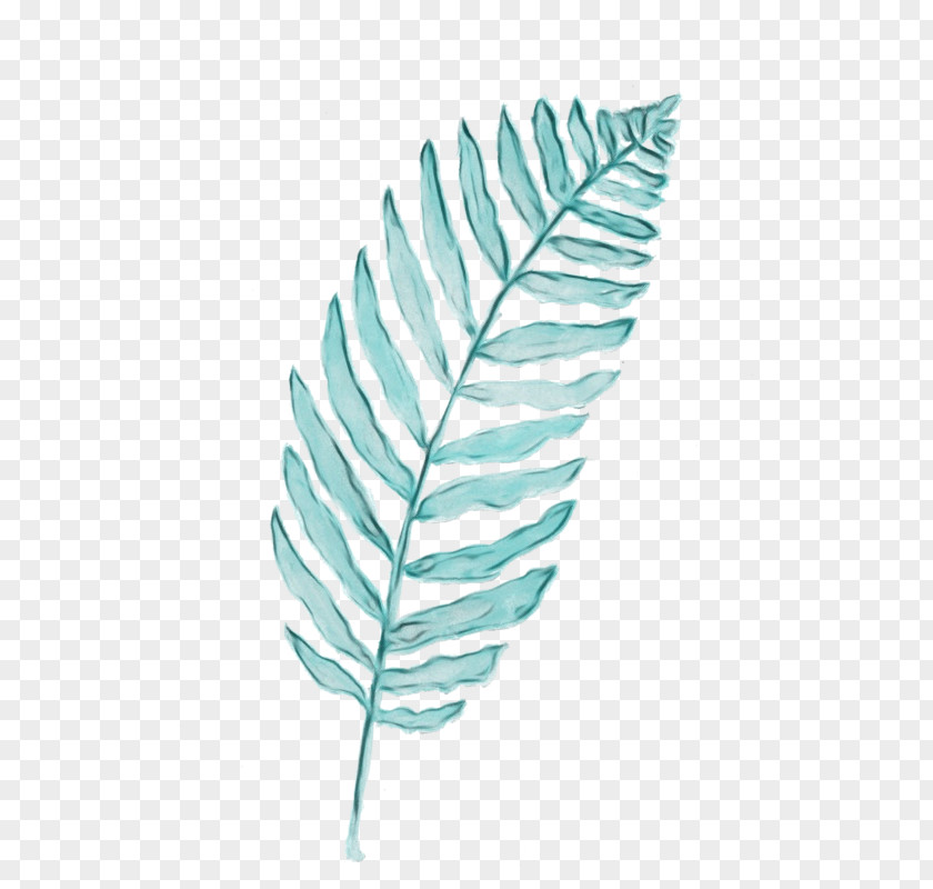 Flower Quill Twig Background PNG