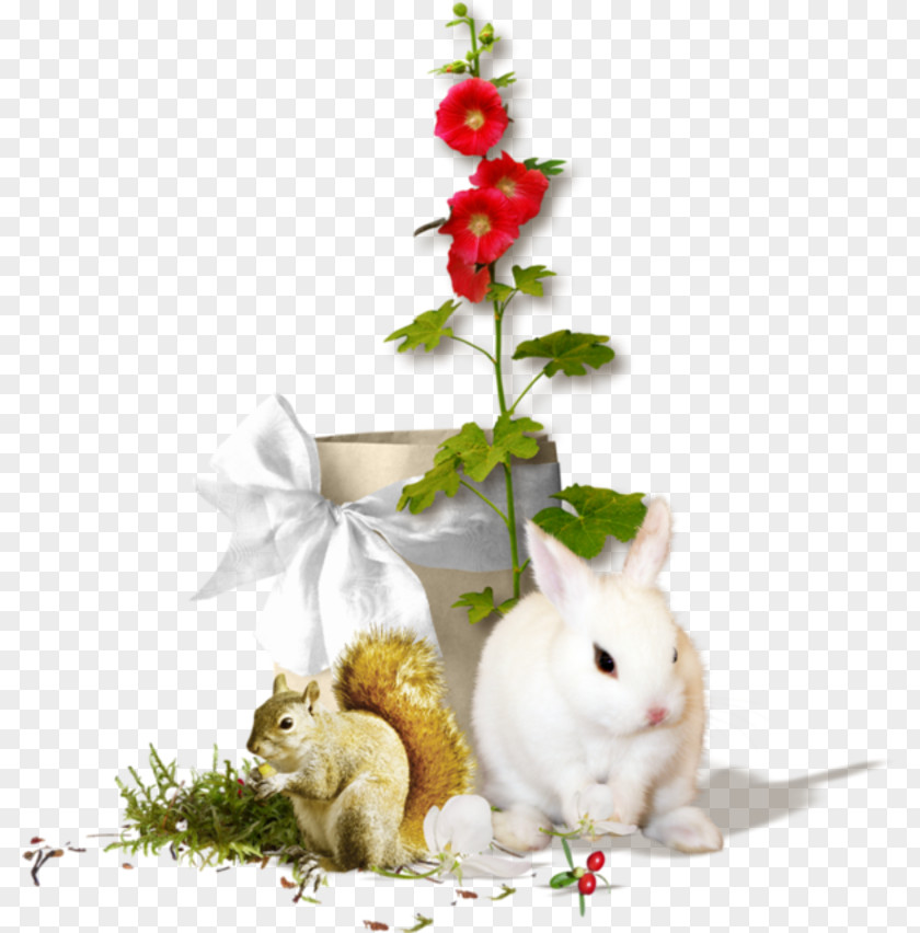 Fortnite Letter G Domestic Rabbit PhotoScape PNG