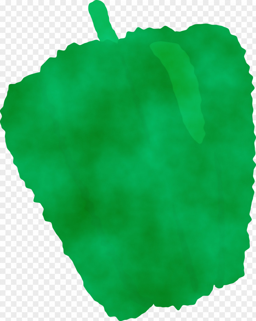 Green Leaf PNG