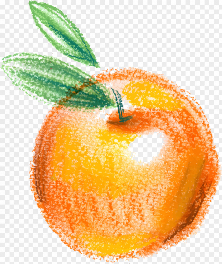 Hand Painted Yellow Apple Clementine Icon PNG