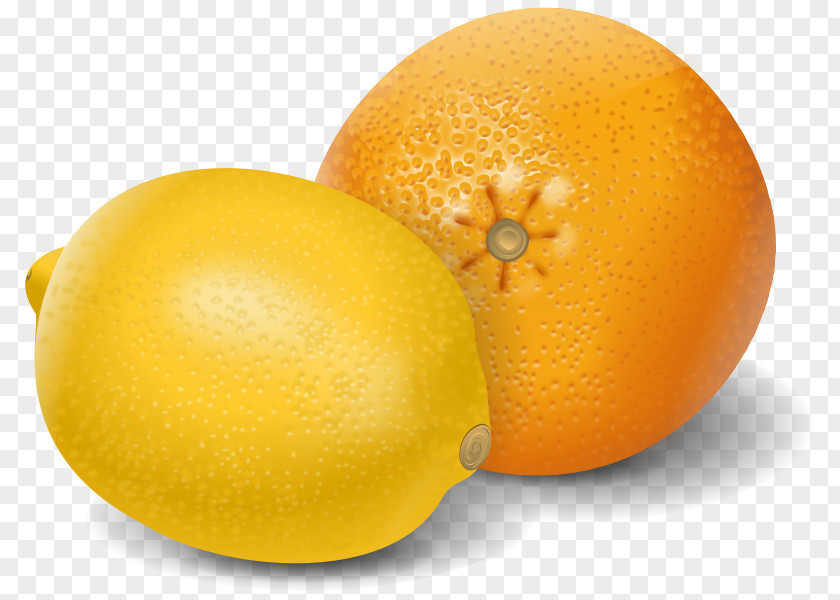 Juice Orange Lemon PNG