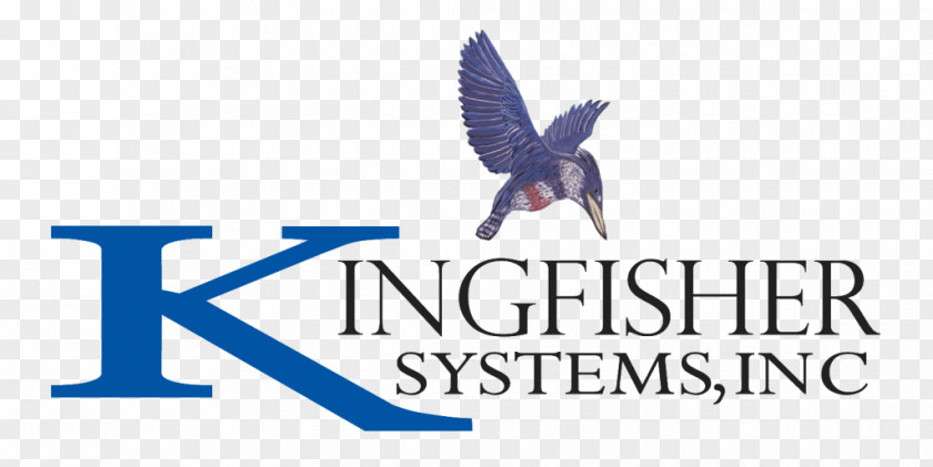 Kingfisher Logo System PNG