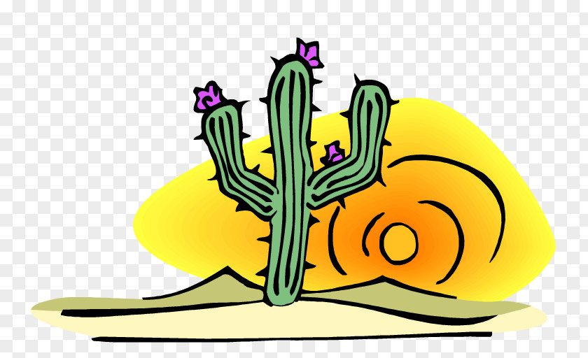 Mexican Cactus Cactaceae Clip Art PNG