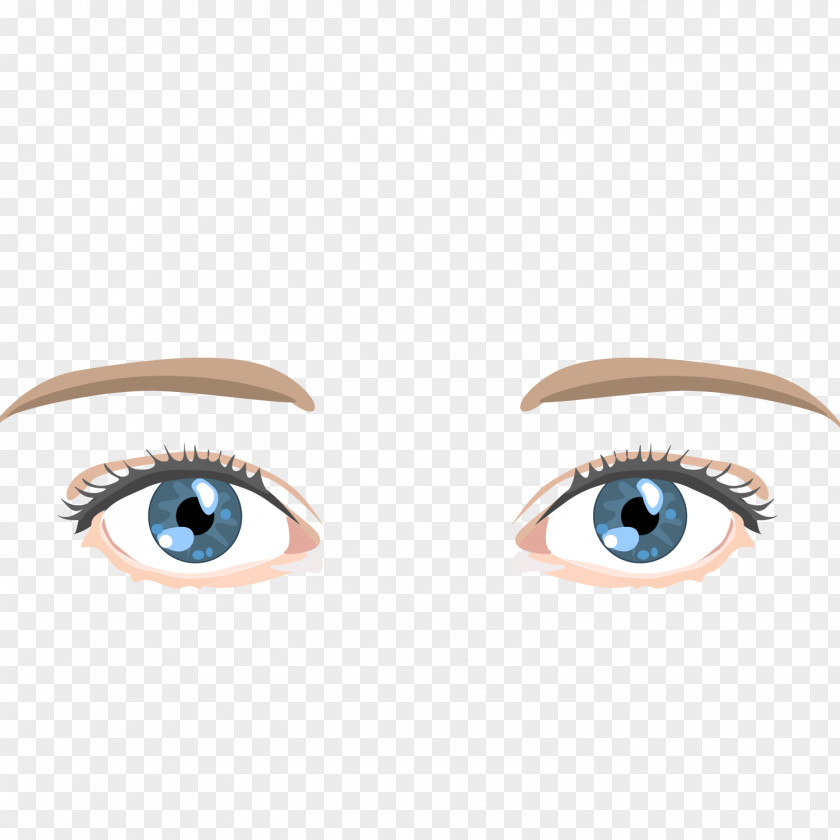 Ordinary Eye Eyebrow Pen Trace Vector Material Cartoon Facial Expression PNG