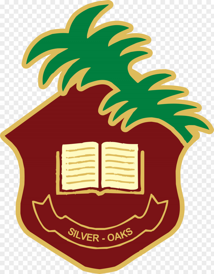 School Silver Oaks Logo College Drive PNG