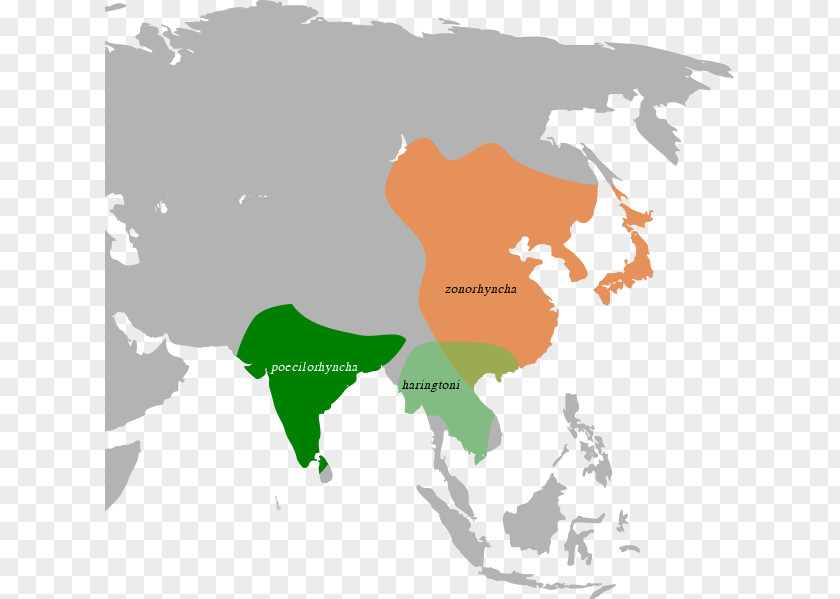 Asia Blank Map Clip Art PNG