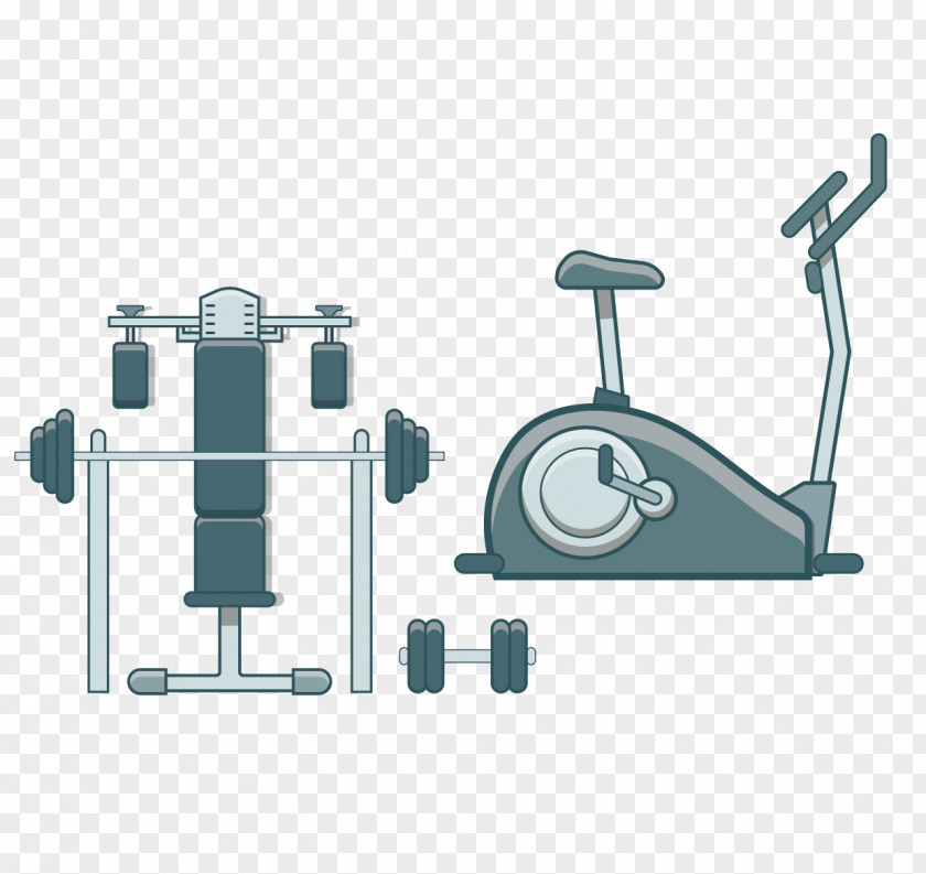 Fitness Vector Material Euclidean Bodybuilding PNG